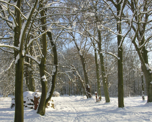 Winter im Landschaftspark Zinzow