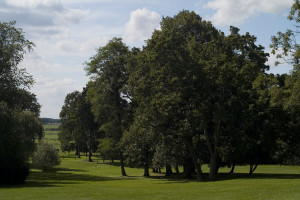 Sichtachsen im Zinzower Schlosspark