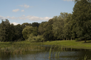 Der Teich im Schlosspark Zinzow