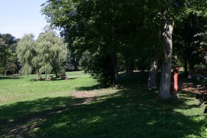 Der Zinzower Landschaftspark